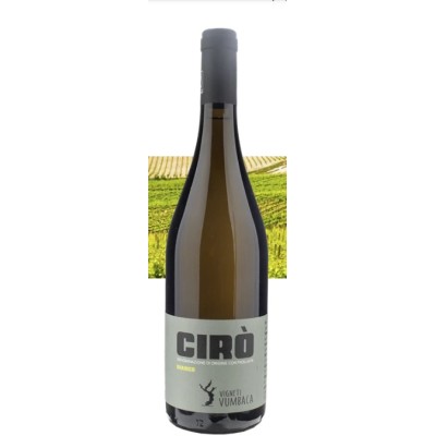 Vino Vumbaca Cirò Bianco DOC bottiglia da 75 cl bottega-lombardosrl